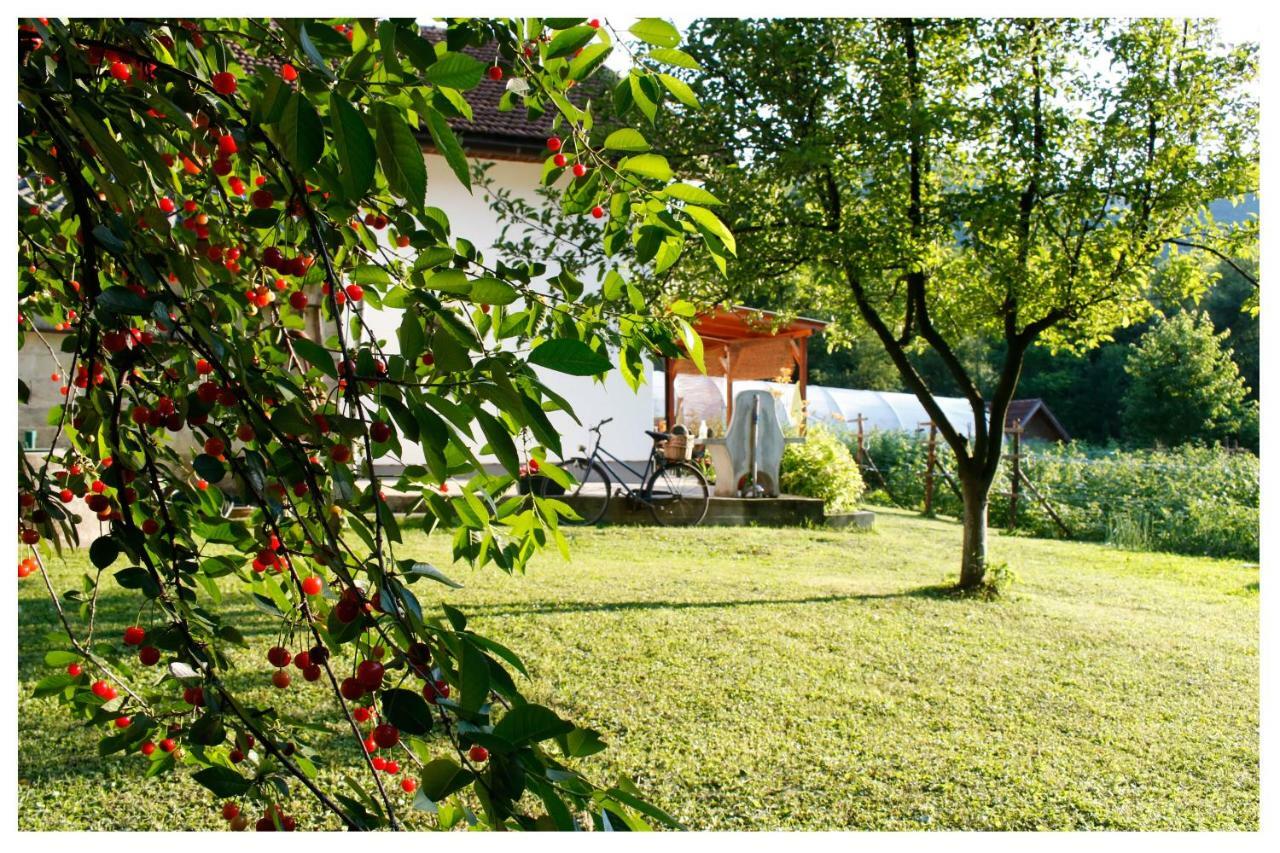 Holiday Residence Buric Високо Екстериор снимка